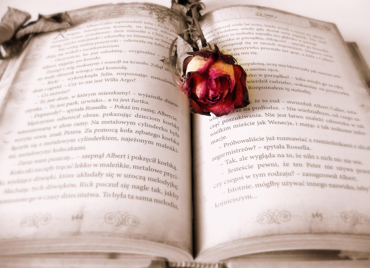 Open book with a single rose flower on top of the pages.