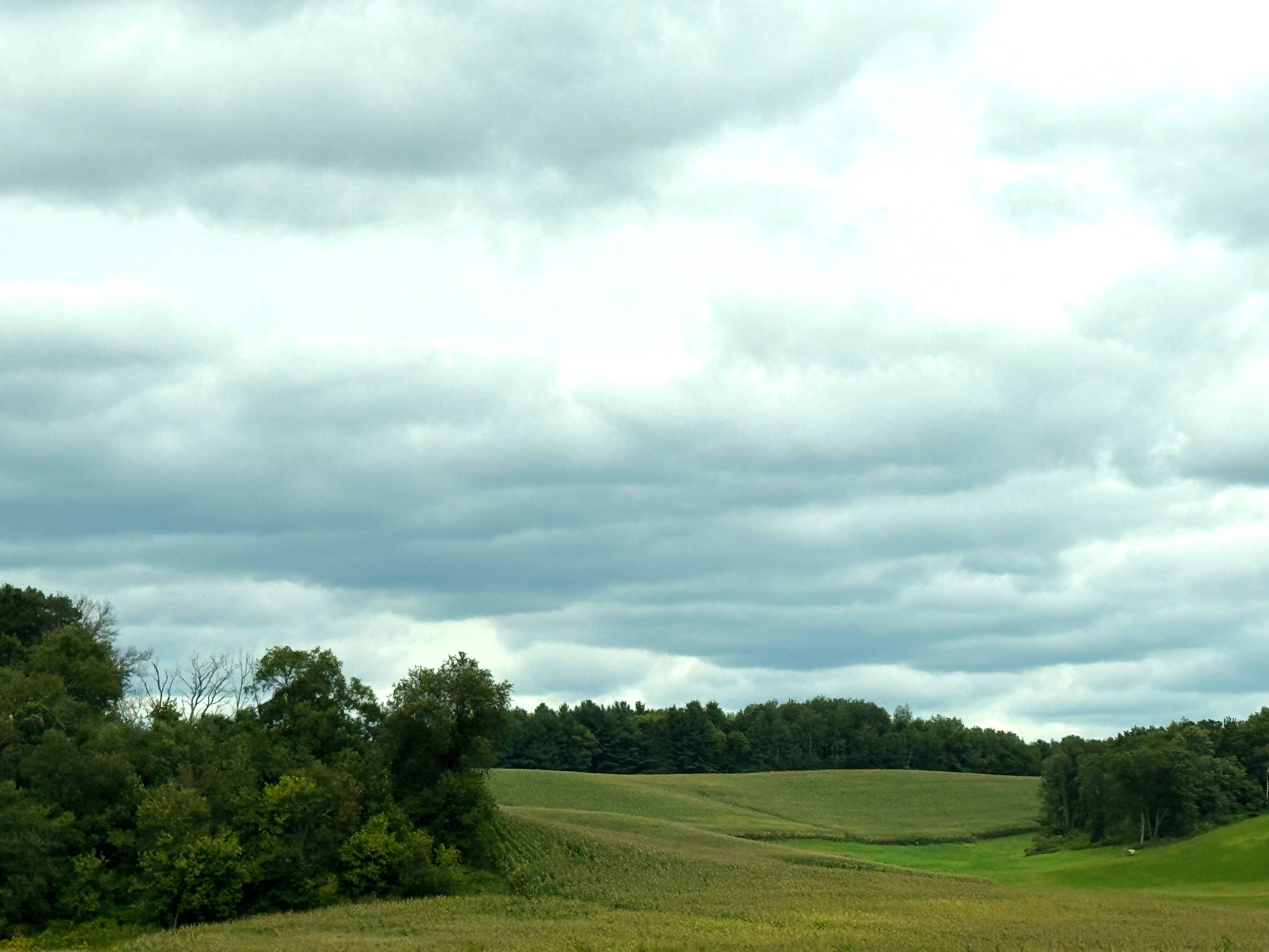 Slightly brightened image with strengthened contrast of a field surrounded by tree lines, and a low clouds in the sky.