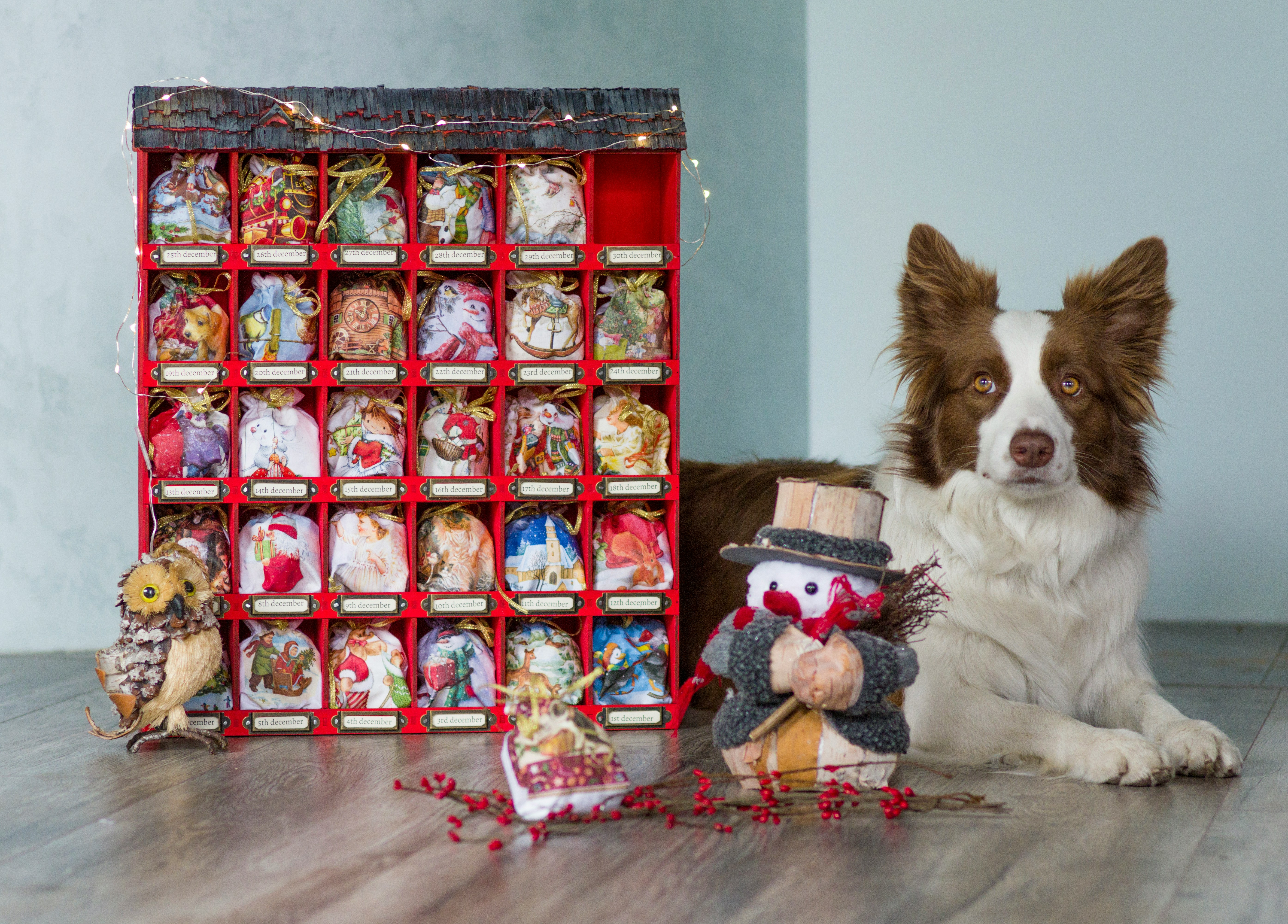 Dog sitting next to a festive Christmas advent
    calendar.